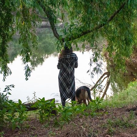 Tábua Quinta Da Lontraヴィラ エクステリア 写真