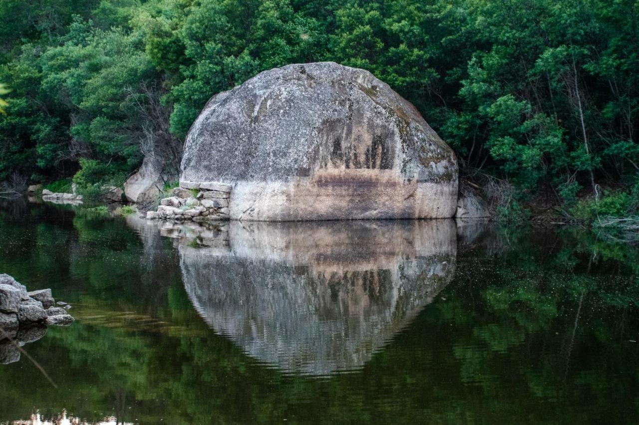 Tábua Quinta Da Lontraヴィラ エクステリア 写真