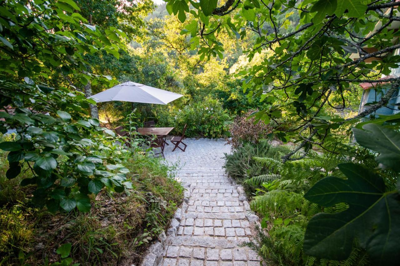 Tábua Quinta Da Lontraヴィラ エクステリア 写真