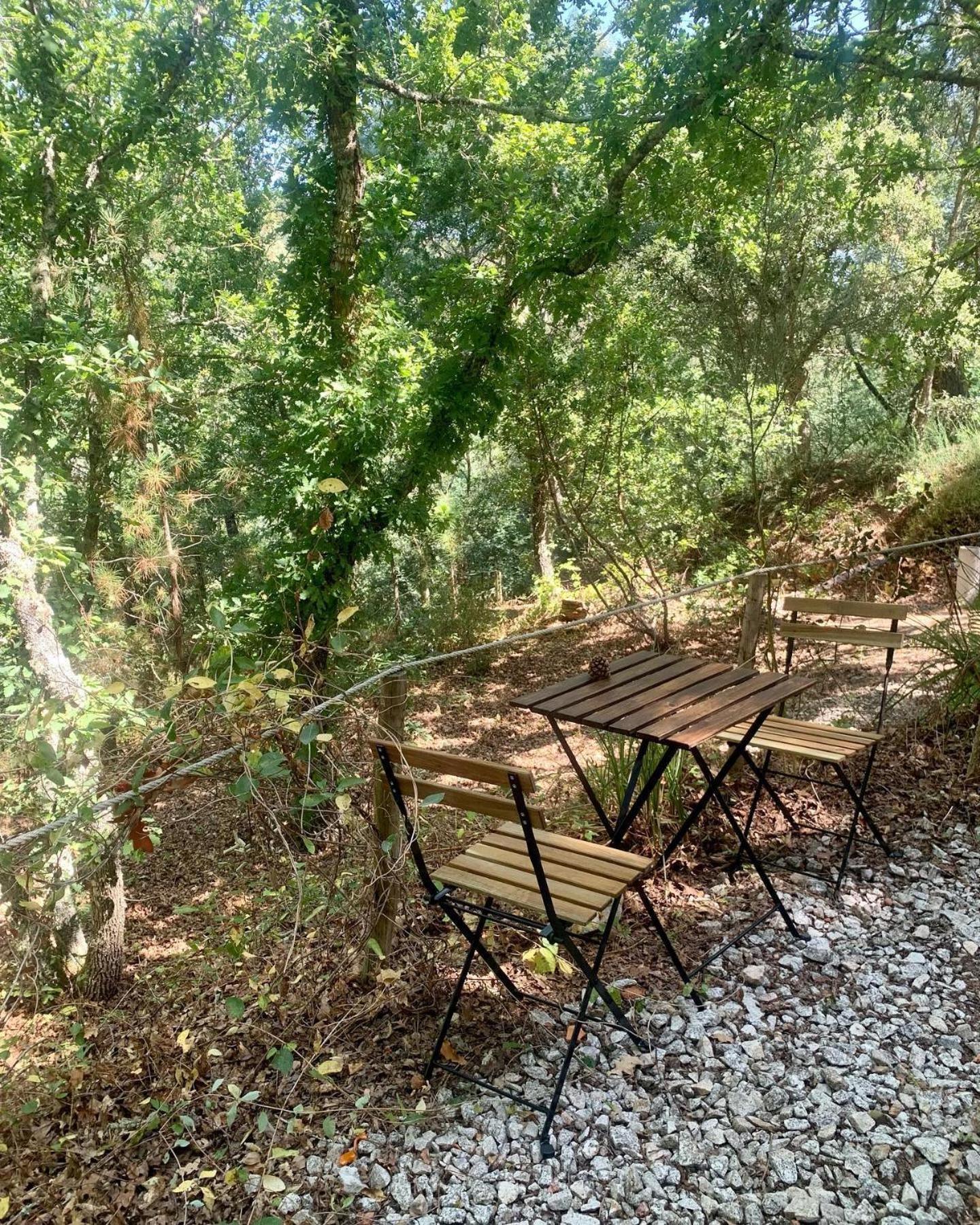 Tábua Quinta Da Lontraヴィラ エクステリア 写真