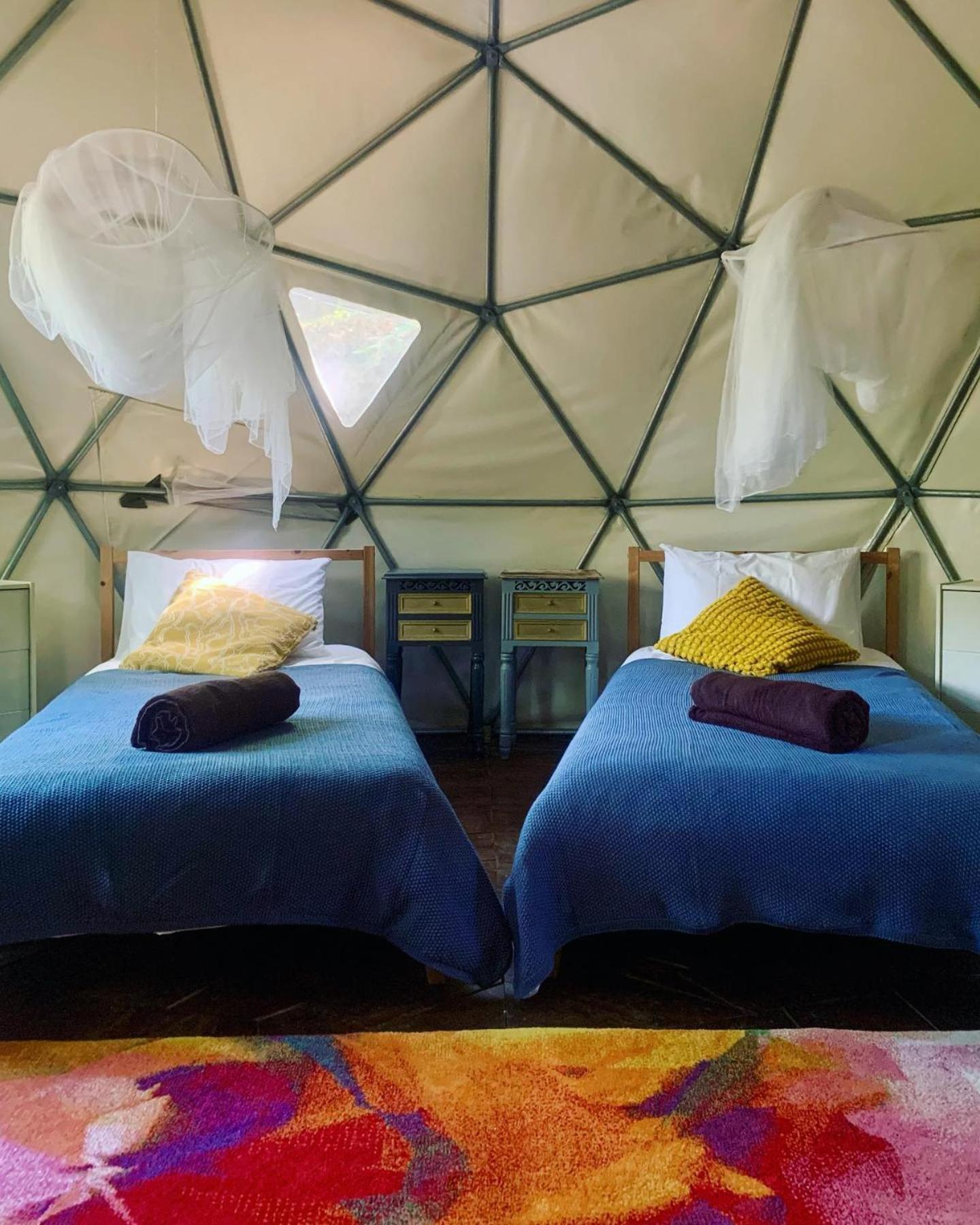 Tábua Quinta Da Lontraヴィラ エクステリア 写真