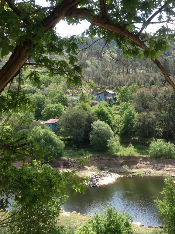Tábua Quinta Da Lontraヴィラ エクステリア 写真