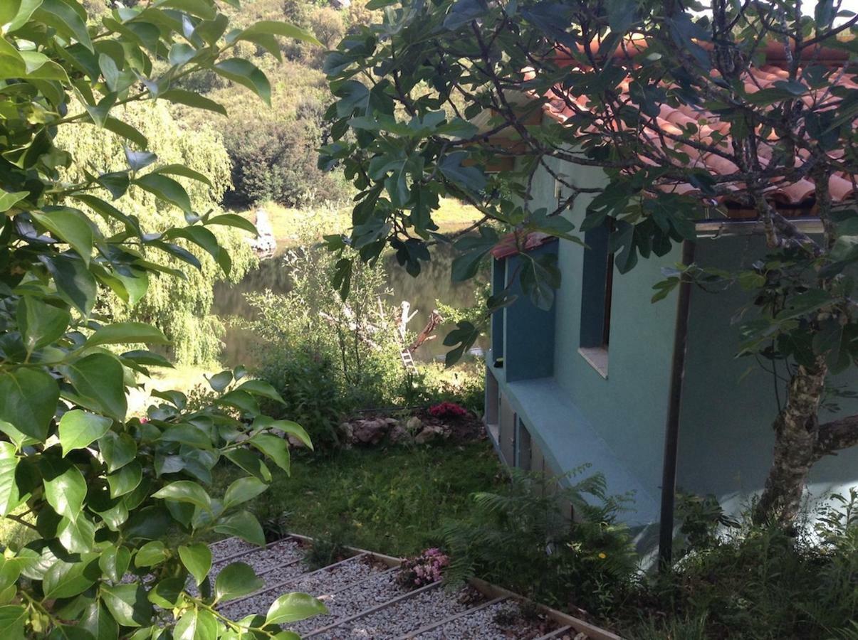Tábua Quinta Da Lontraヴィラ エクステリア 写真
