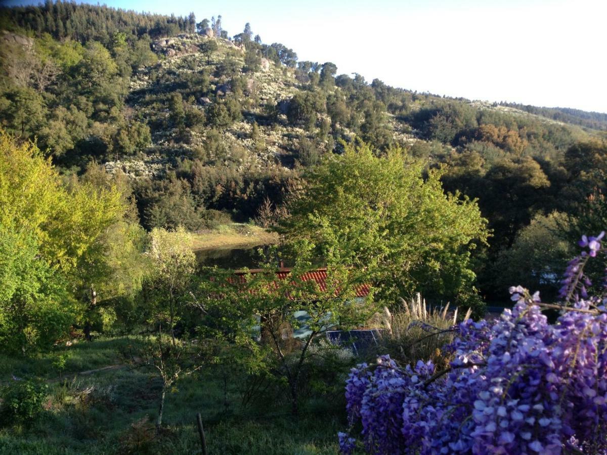 Tábua Quinta Da Lontraヴィラ エクステリア 写真